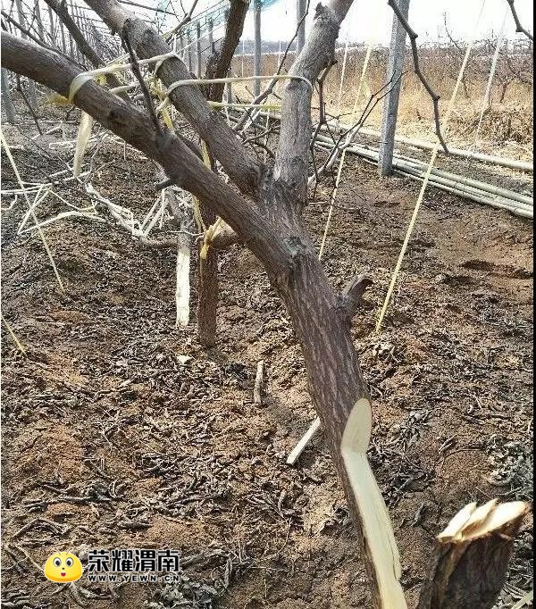 ΢��ͼƬ_20180205154503.jpg