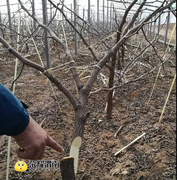 ΢��ͼƬ_20180205154457.jpg