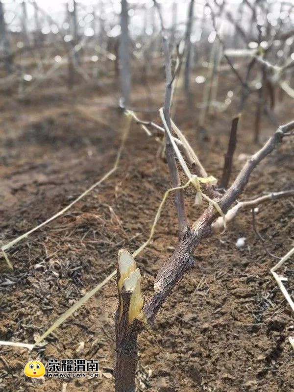 ΢��ͼƬ_20180205154500.jpg