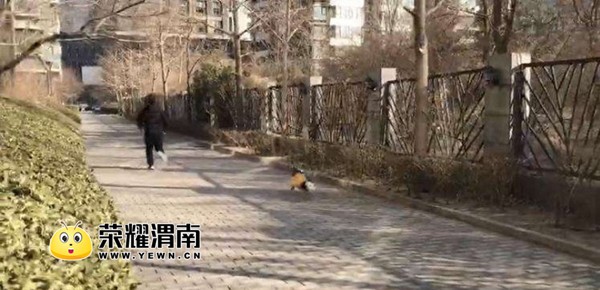 middle_690x385-112944_v2_12631518492584303_3ac7b38dd5eac65ac6c89e3ce91c1ad1.jpg