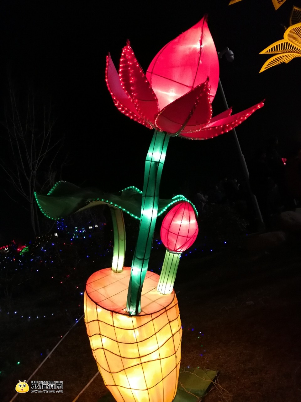 20180225_113637_1519565363670.jpg