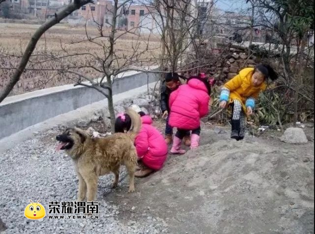 ΢��ͼƬ_20180226095035.jpg
