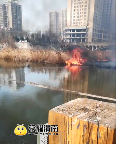 QQ��ͼ20180226143358.png