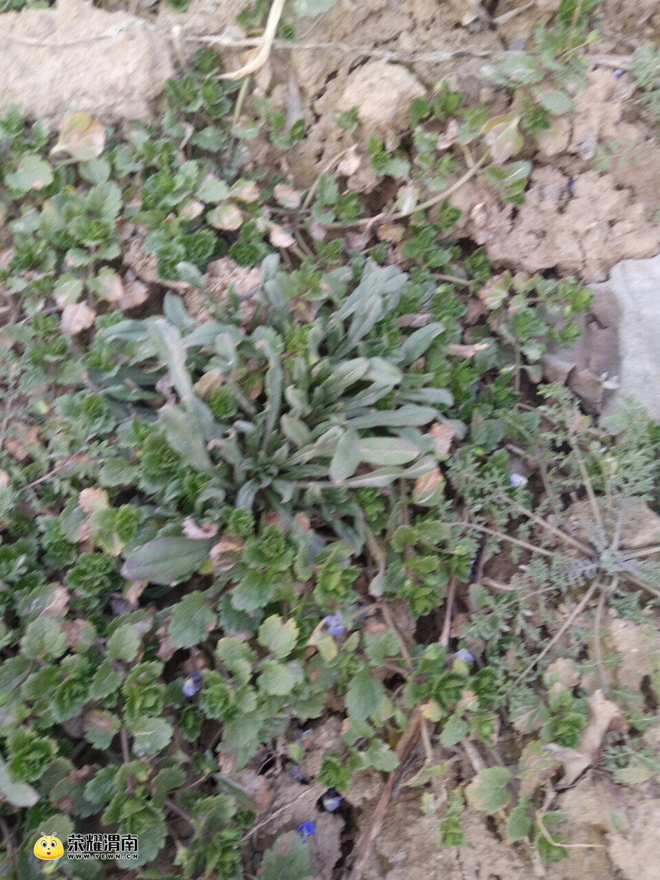 20180226_165973_1519642602683.jpg