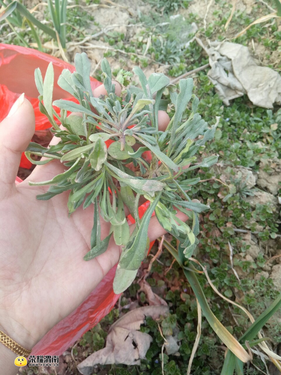 20180226_165973_1519642601839.jpg