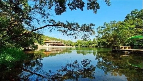 04.jpg