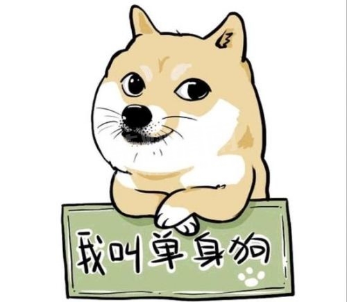 1449579517560.jpg