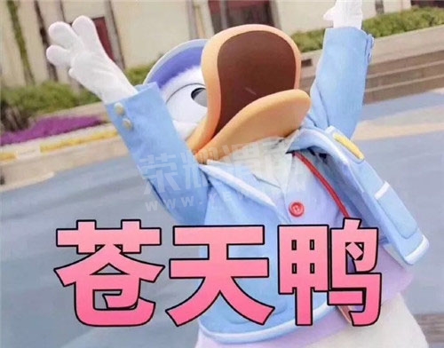 86883a42gy1fsys3i7olwj20j60grmz7.jpg