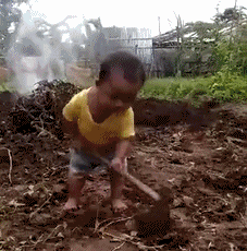 20180820_217366_1534773660104.gif