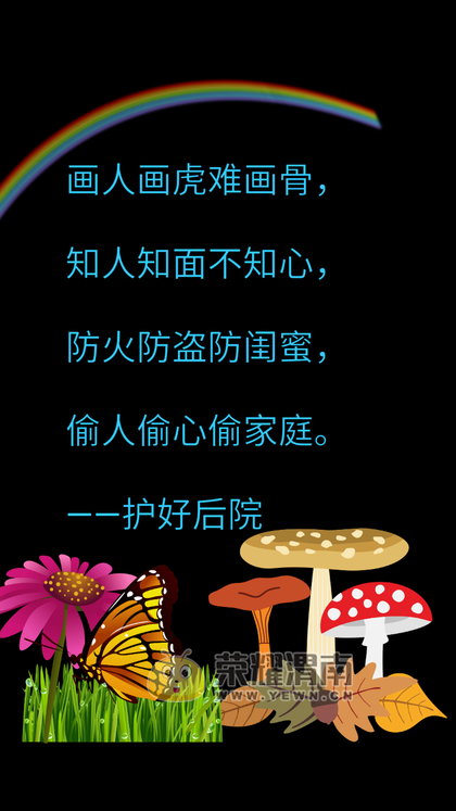 20180829_217366_1535540224336.png