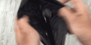 timg (1).gif