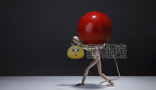 t011a261f16ef95a53a.jpg