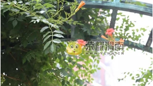 �����ķ羰.jpg