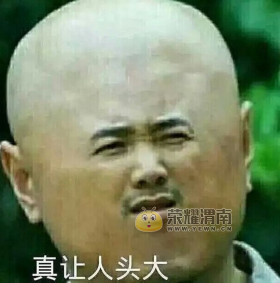 8059338804441941349.jpg