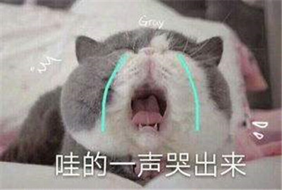 �۵�һ��.jpg