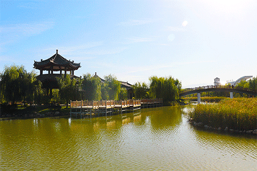 162039vbh87b118ct9vv9t.gif