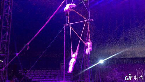 IMG_3007.GIF