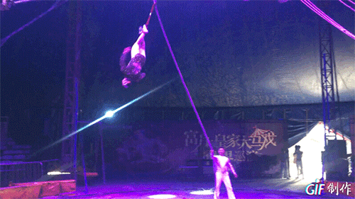 IMG_3010.GIF