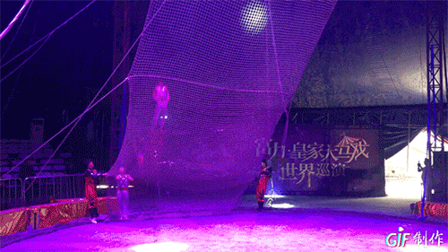IMG_3018.GIF