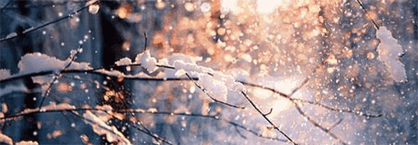 394f7b8104e041b6b7a3d1978ff85edc.gif