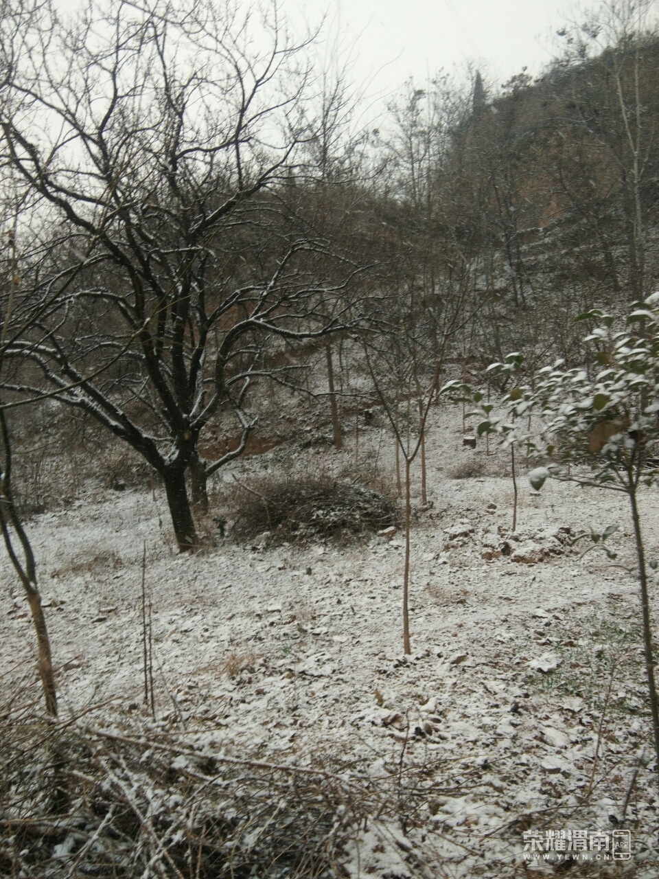20181227_215814_1545889368764.jpg