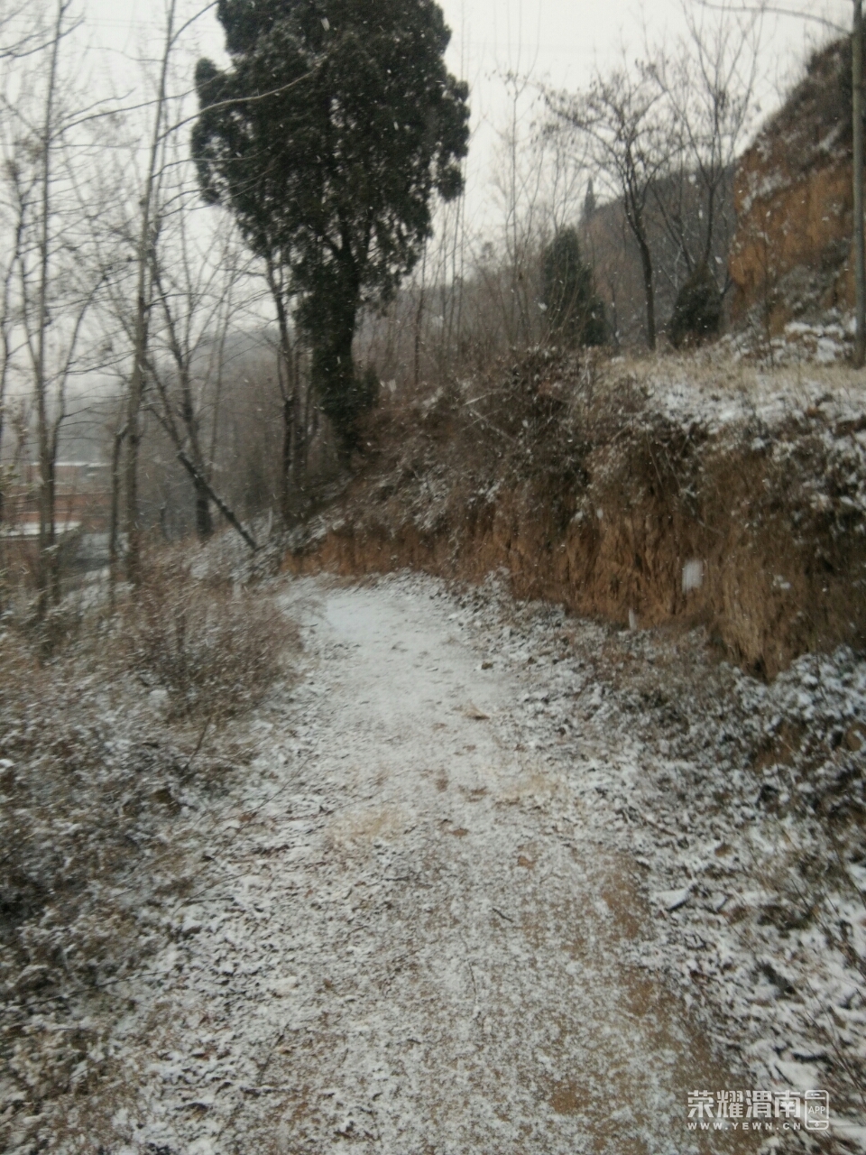 20181227_215814_1545889371320.jpg