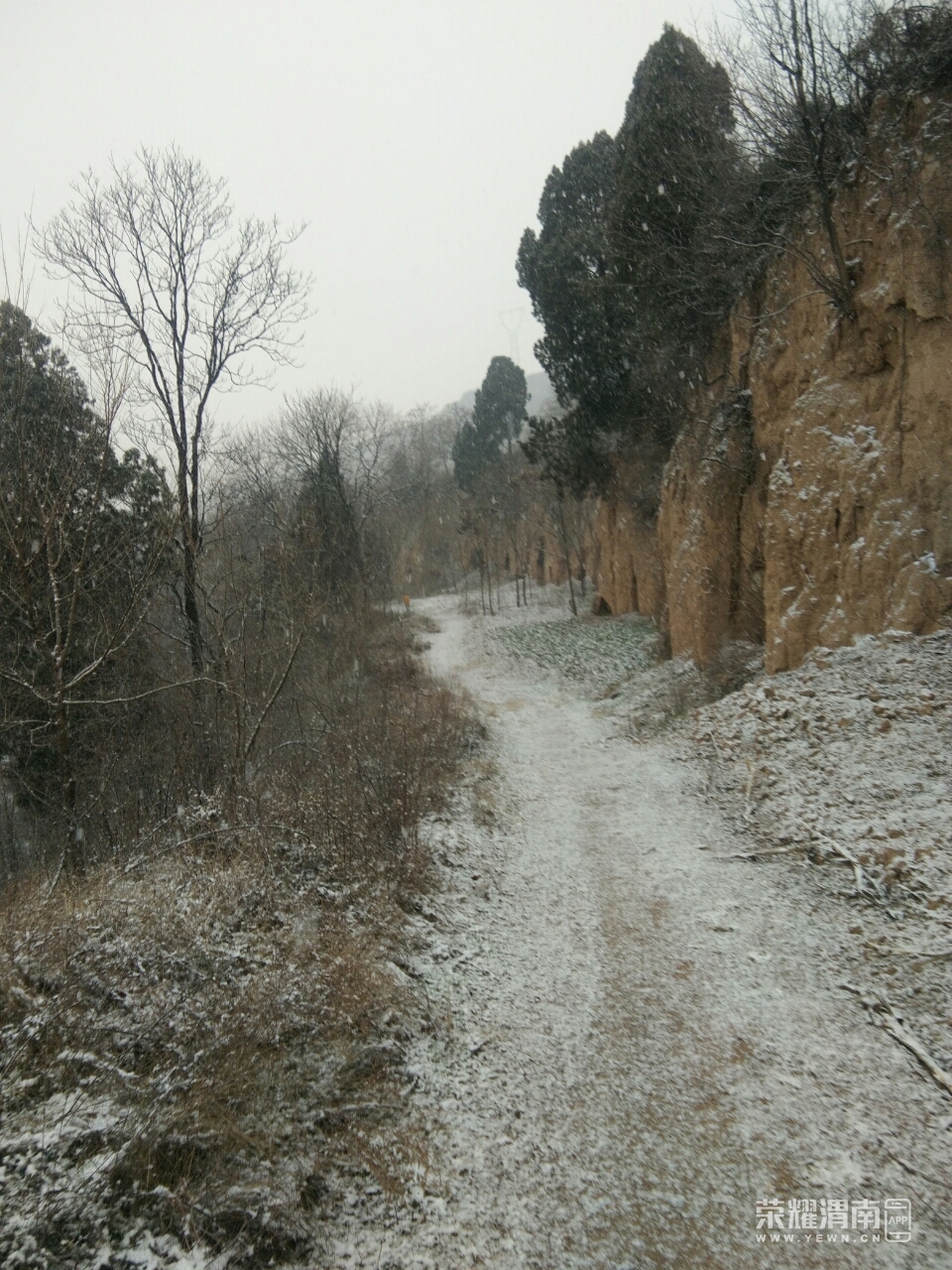 20181227_215814_1545889374042.jpg