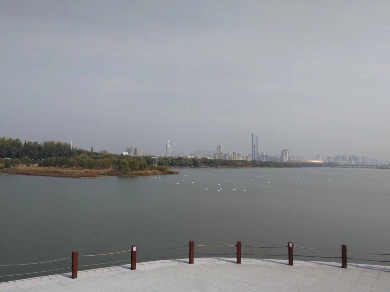 20200105_125287_1578188333807.jpg