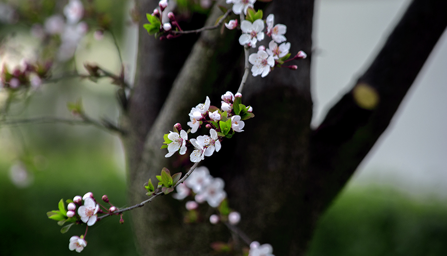 DSC_1722.jpg