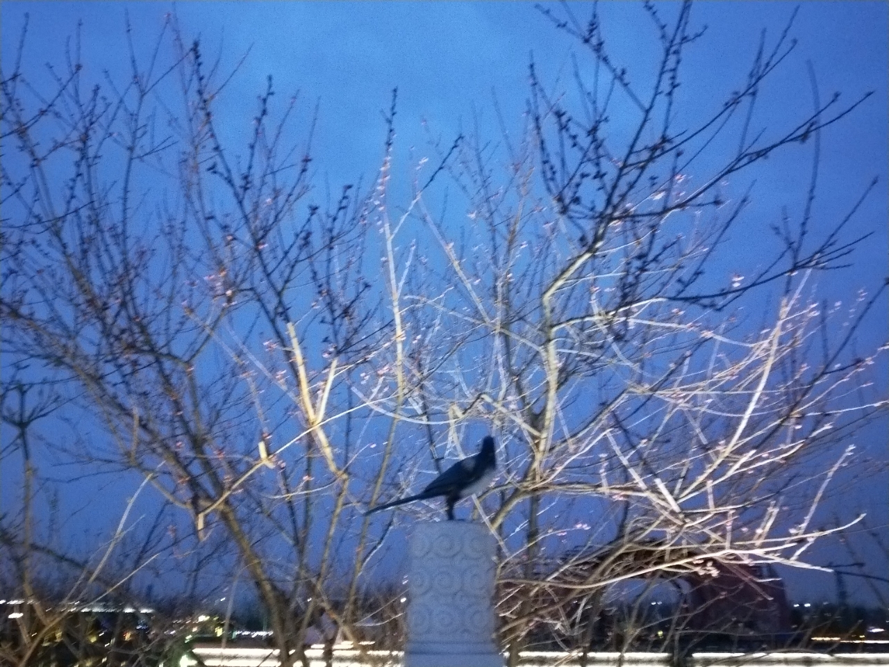 20200324_225437_1585045498912.jpg