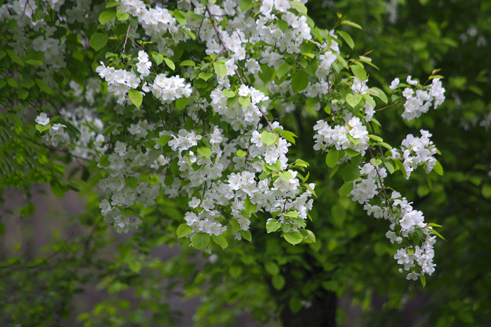 DSC_2533.jpg