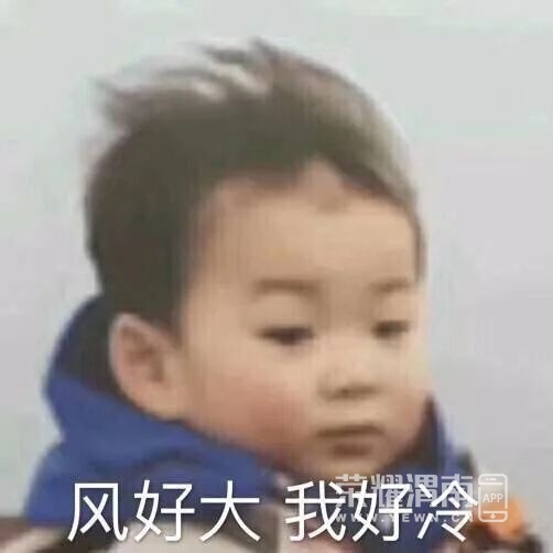 113040am0bsmdhsvb6l8lq.jpg