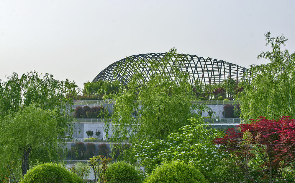 DSC_3506.jpg