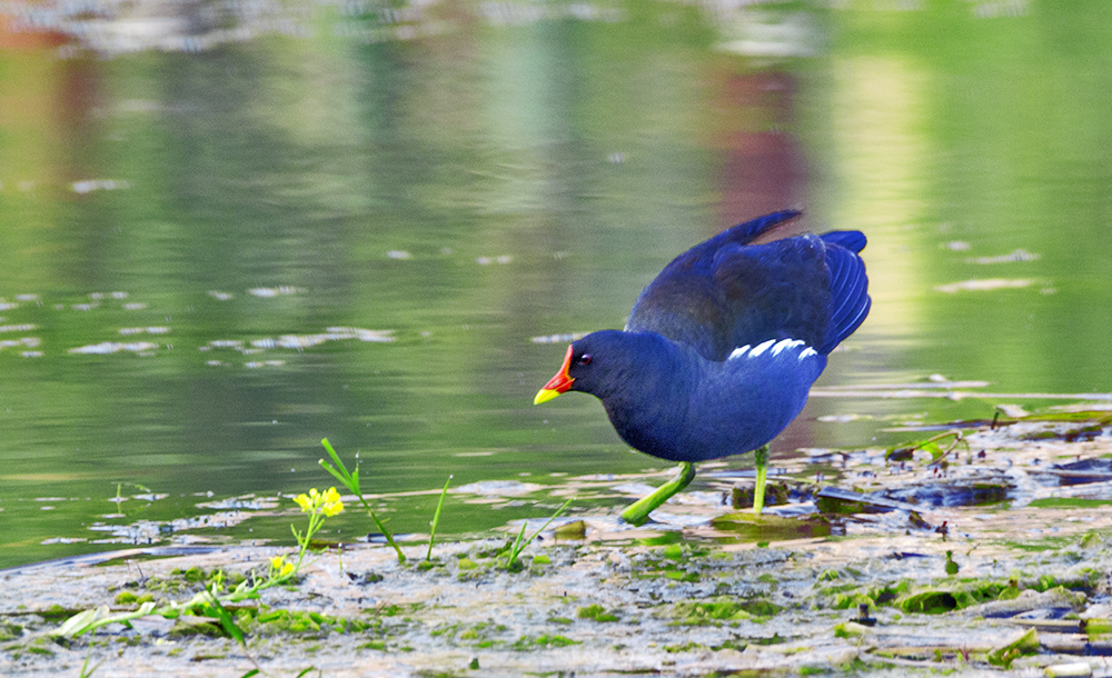 DSC_3901.jpg