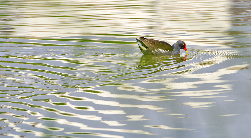DSC_3937.jpg