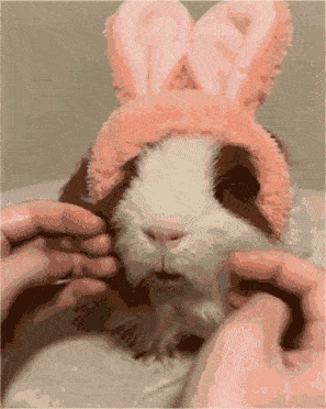 093424d9hsoqhhkom01o09.jpg