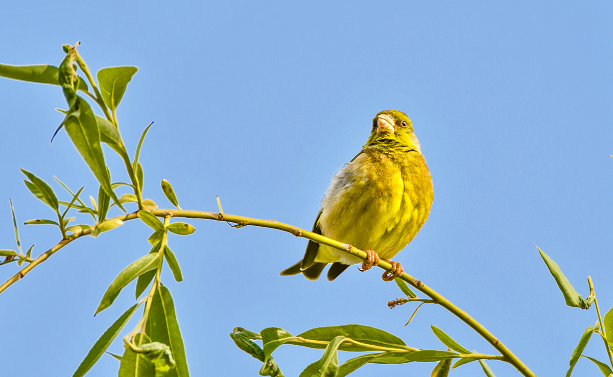 DSC_4128.jpg