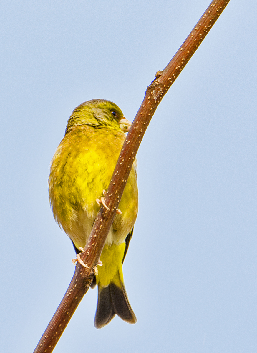 DSC_4131.jpg