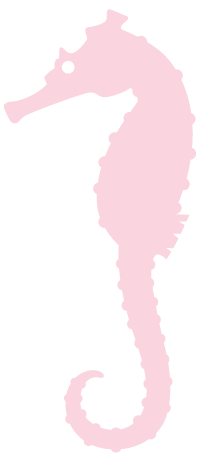 195658dzqu47rlmucllr0q.jpg