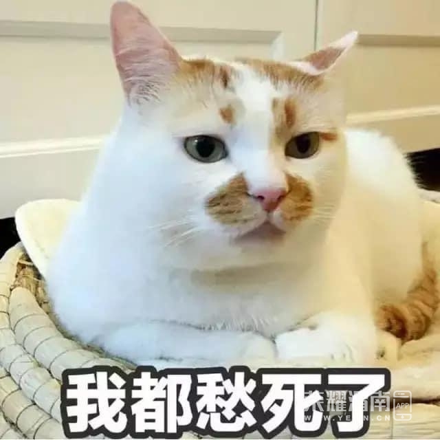 FszeHuzEHMSvgjOpj5w7Q3JOcf61.jpg
