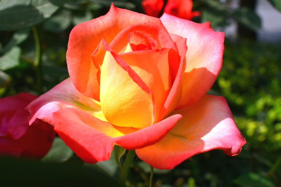 DSC_8166.jpg