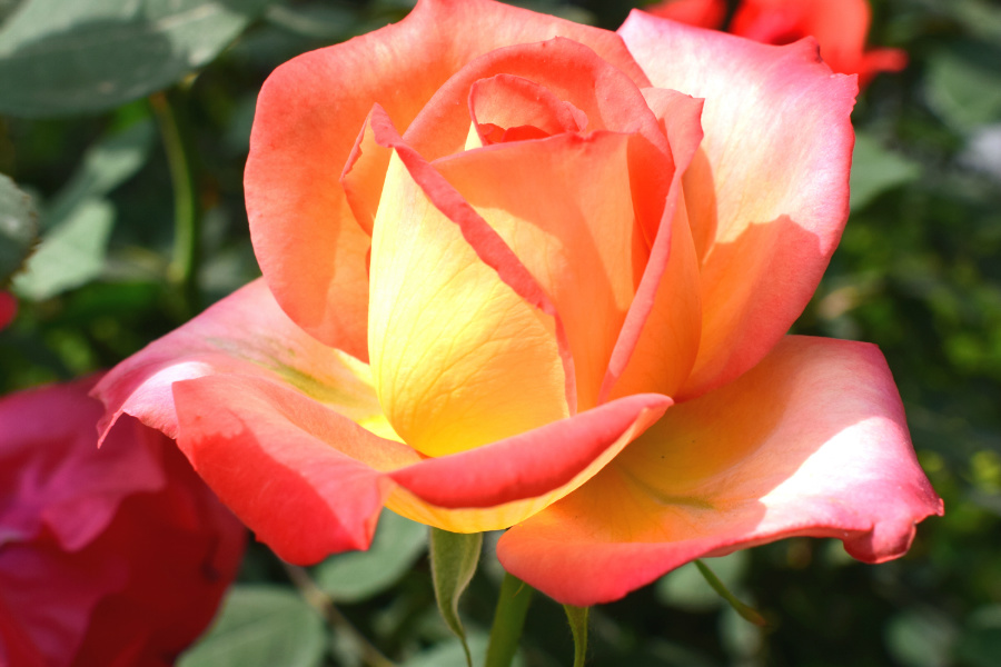 DSC_8167.jpg