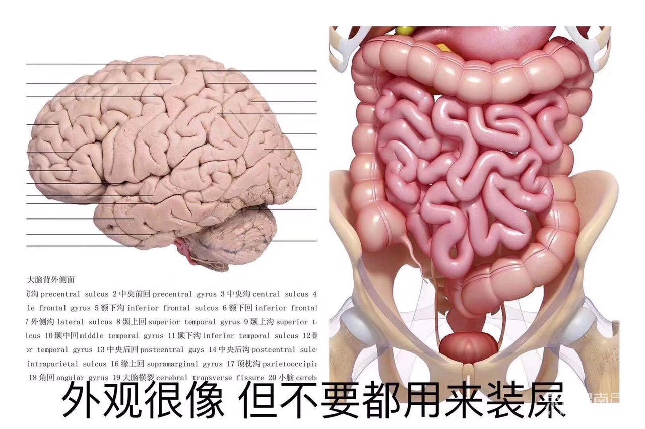 FueC-8WtPnyxtwUXNkJZQLb0xFLt.jpg