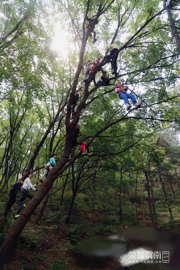 63136032ly1gfck2yd8gej20u0190x6p (1).jpg