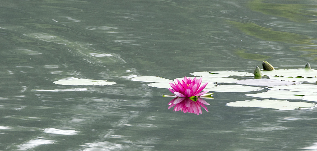 DSC_7186.jpg