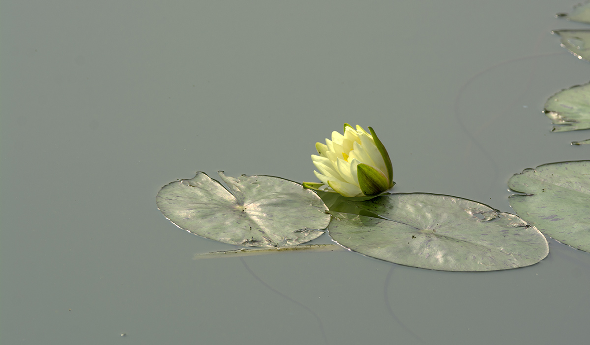 DSC_7202.jpg