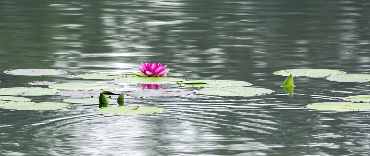 DSC_7187.jpg