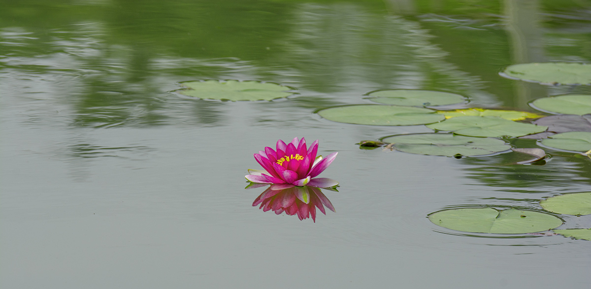DSC_7226.jpg