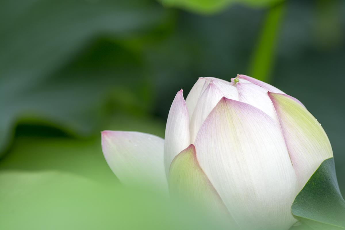 DSC_9567.jpg