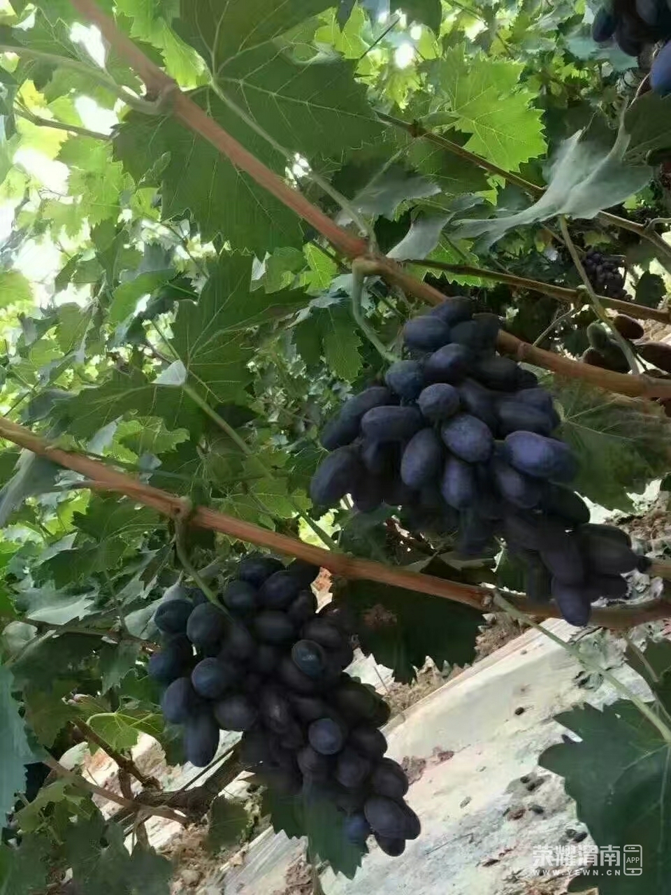front2_0_FtzbM2HRSnt-7ecjjxEygjB9mMvW.jpg